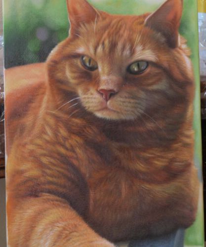 Portrait réaliste de chat peint à la main d’après photo