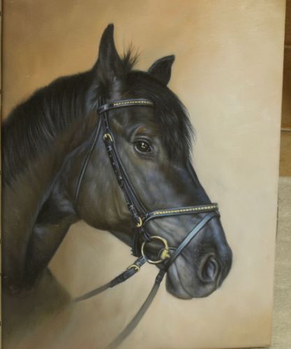 Portrait de cheval peint à la main à l’huile sur toile